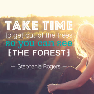 take time to get out of the trees so you can see the forest.
