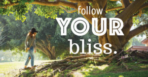 follow your bliss