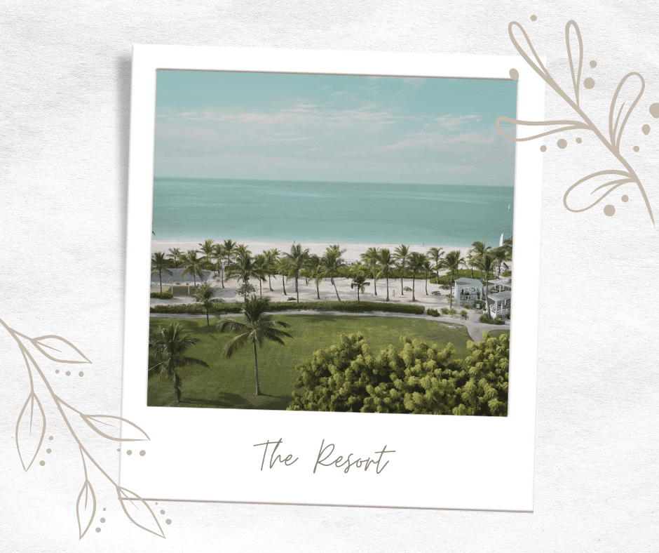 Aesthetic Polaroid Photo Frame Facebook Post